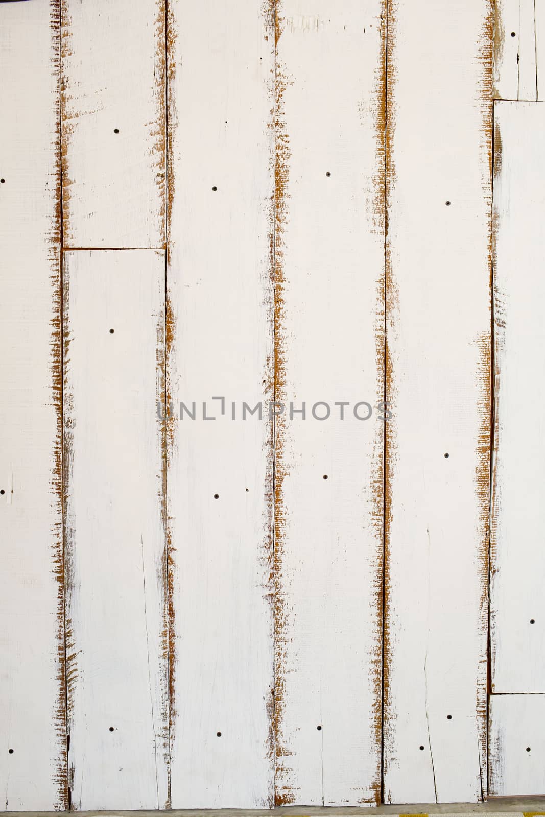 The white wood texture with natural patterns background