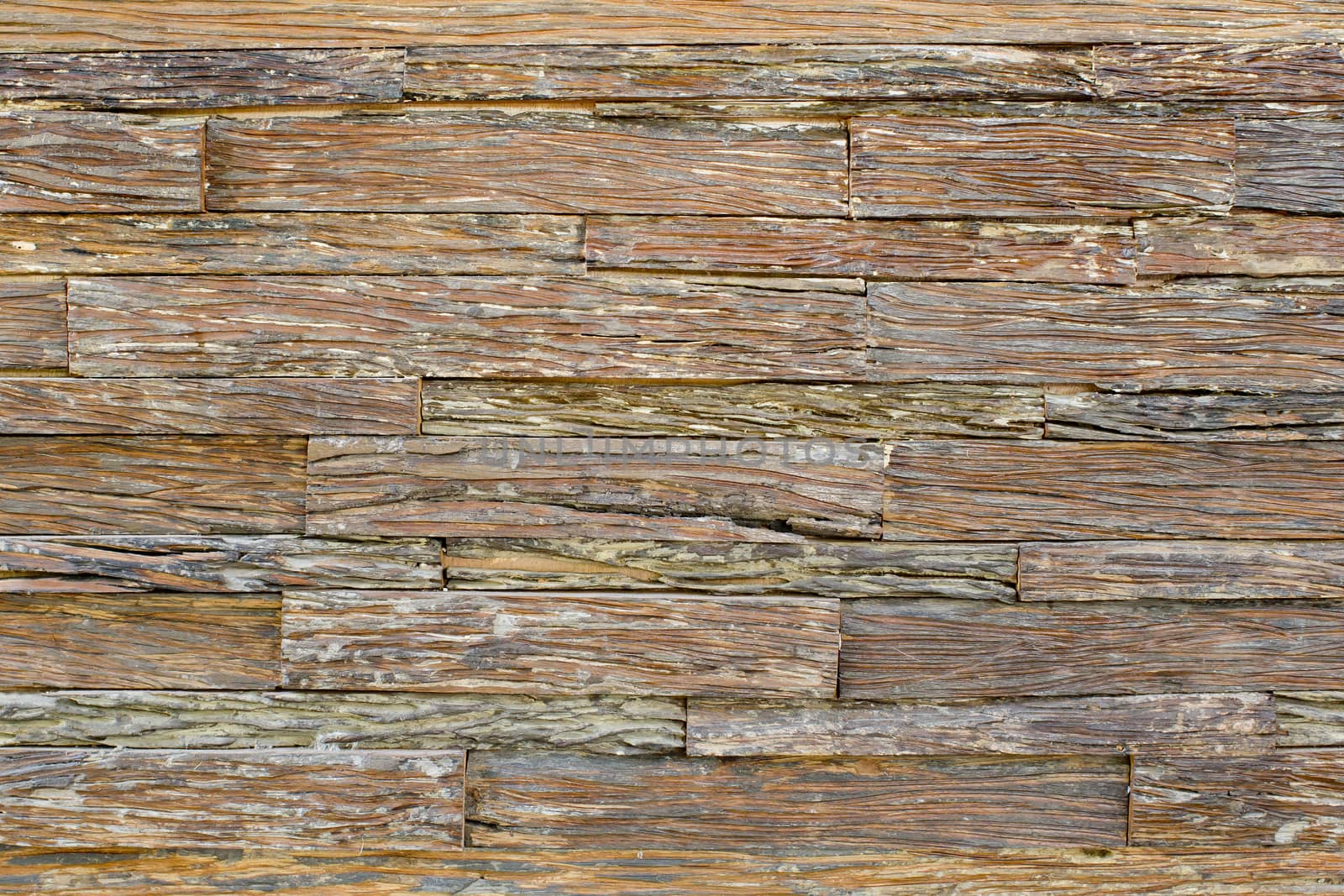 wood texture