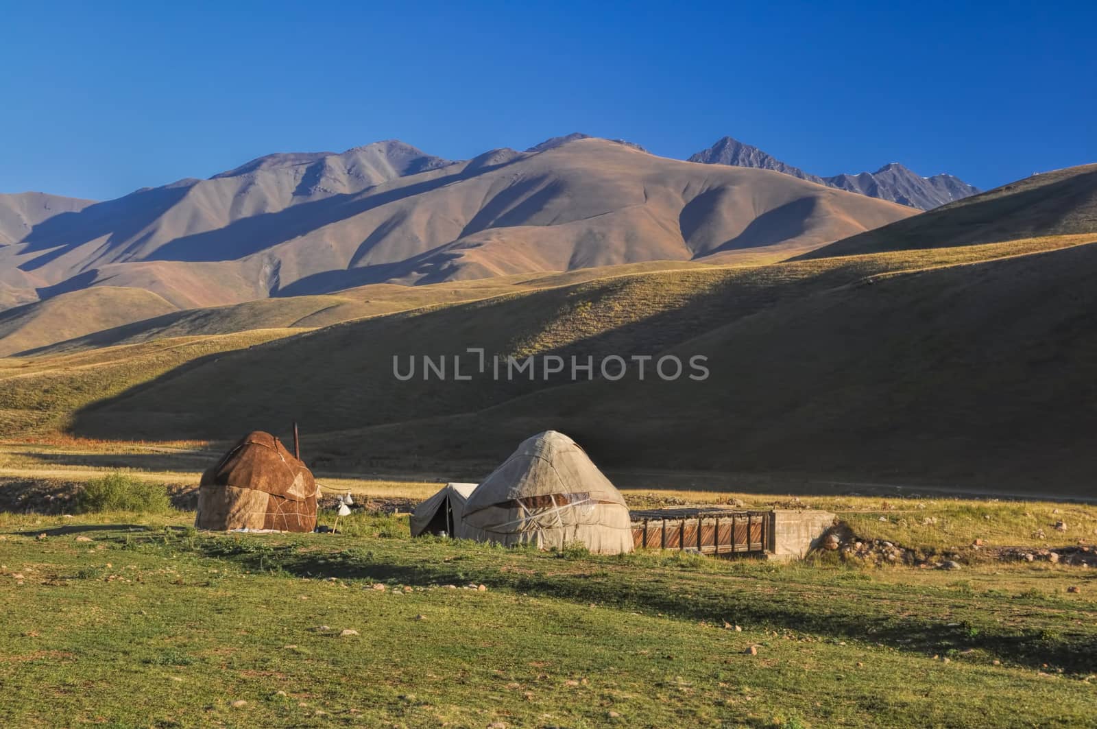 Traditional yurts on green grasslands in Kyrgyzstan