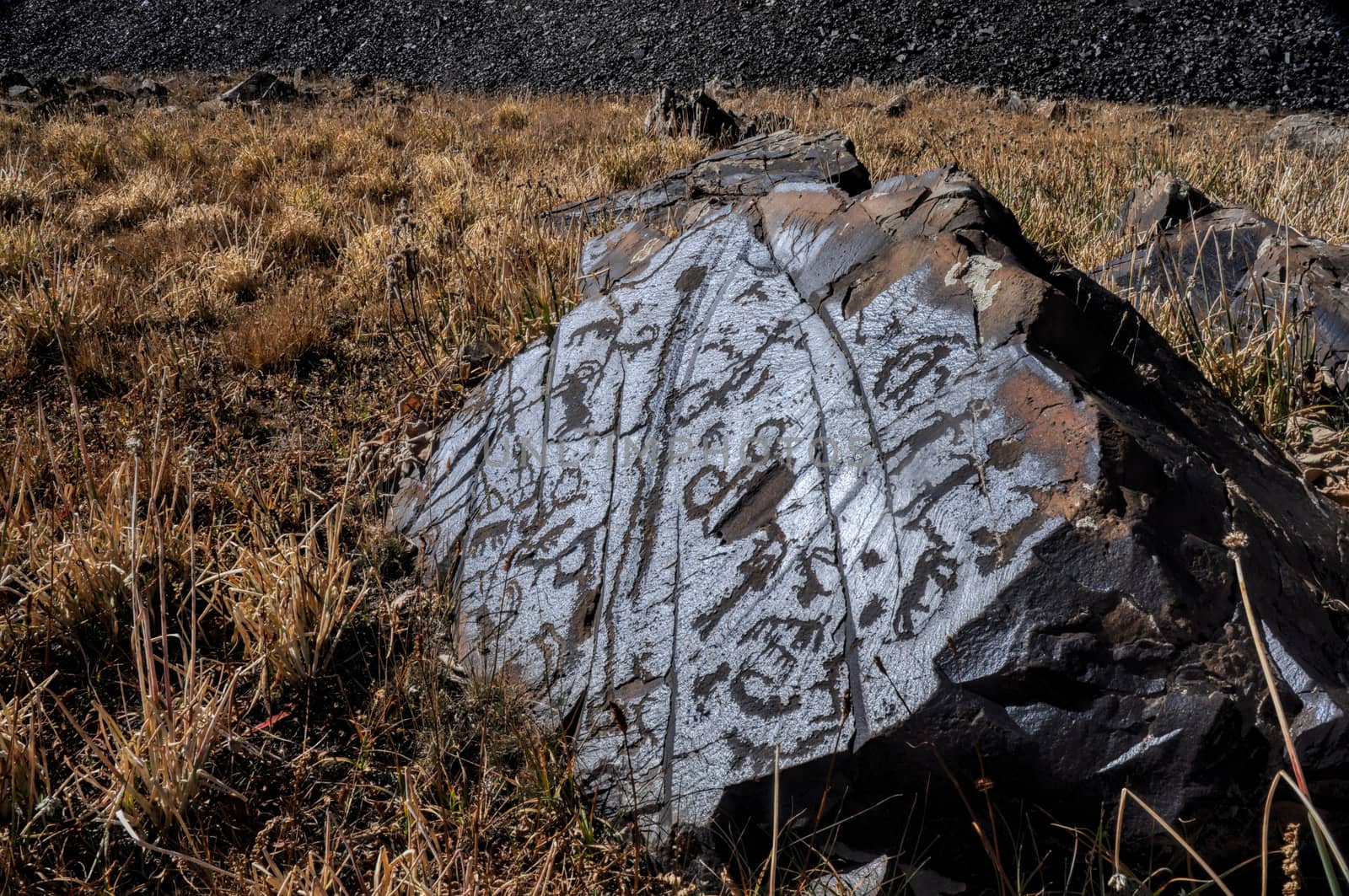 Pictograms engraved on rock on Saimaluu Tash site in Kyrgyzstan