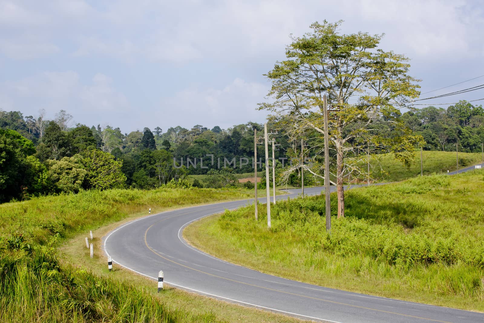 beautiful view of the sunshine in a field on a rural road