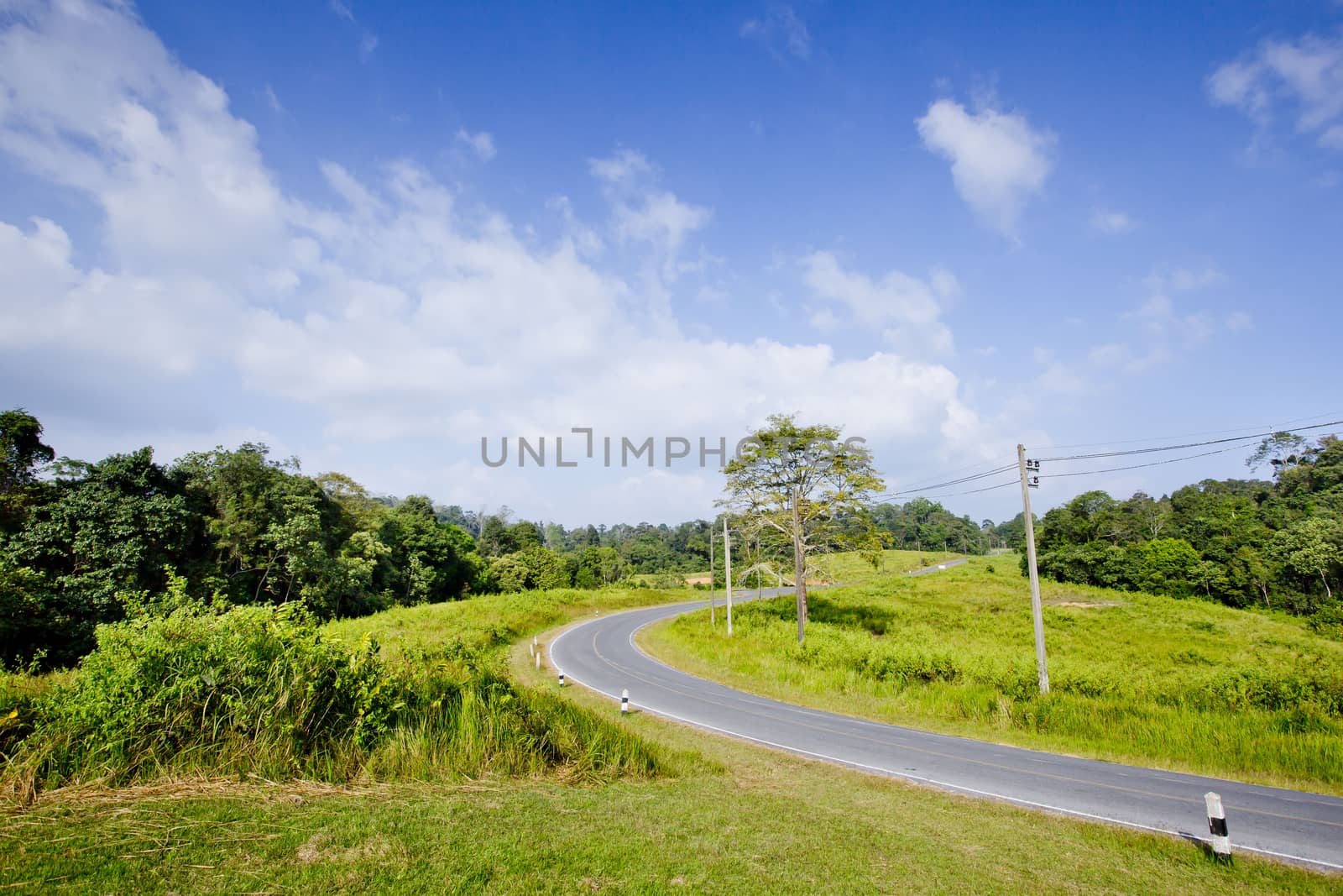 beautiful view of the sunshine in a field on a rural road