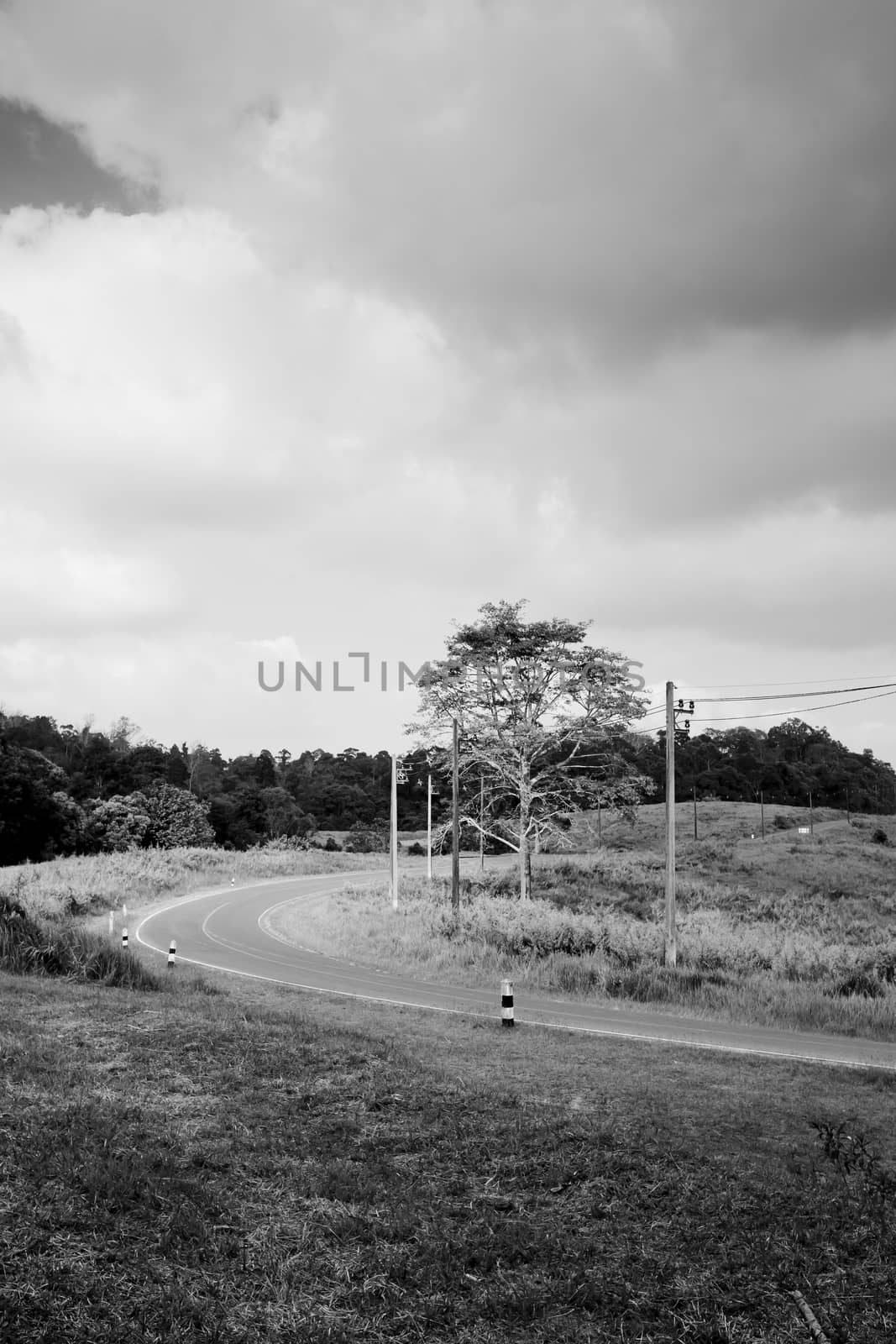 Black and white beautiful view of the sunshine in a field on a rural road