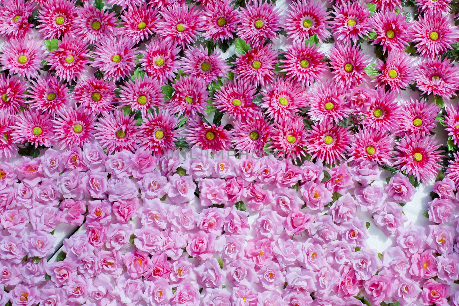 Plenty pink natural flowers seamless background