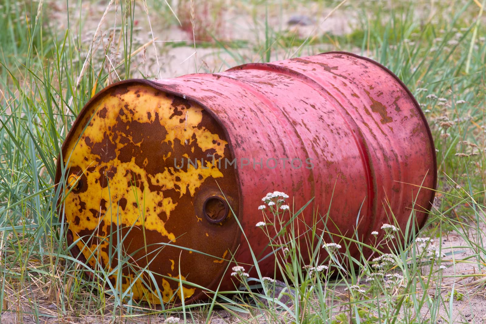 rusty old barrel in a grass by max51288