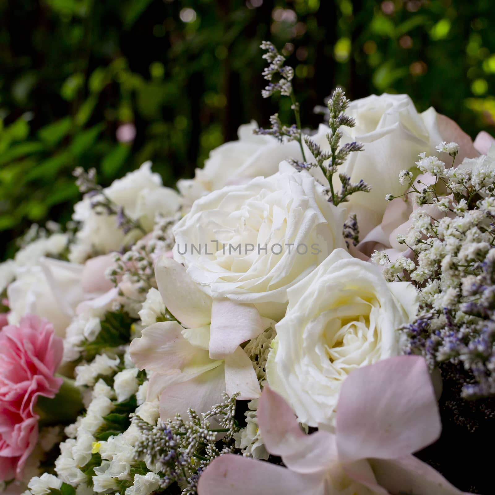 Focus beautiful white roses bouquet by art9858