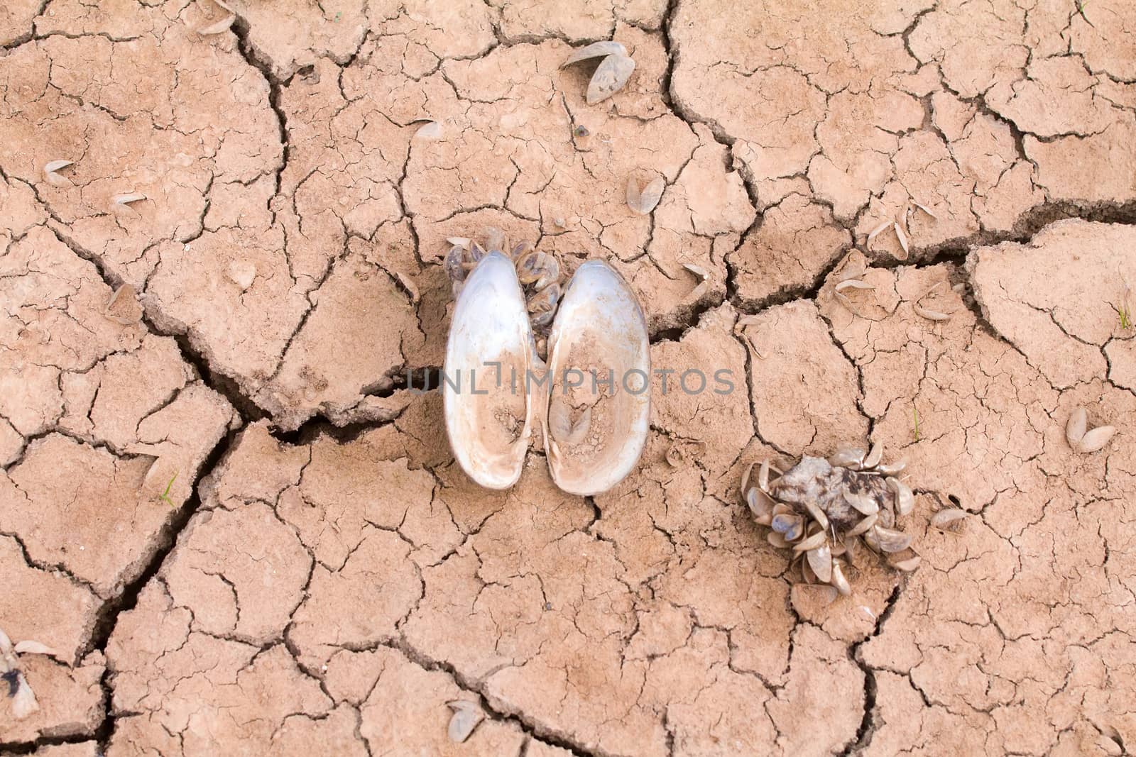 sea dried up and everything receded died