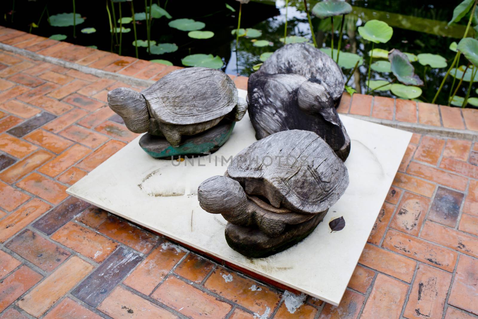 Wooden turtles decorate in garden