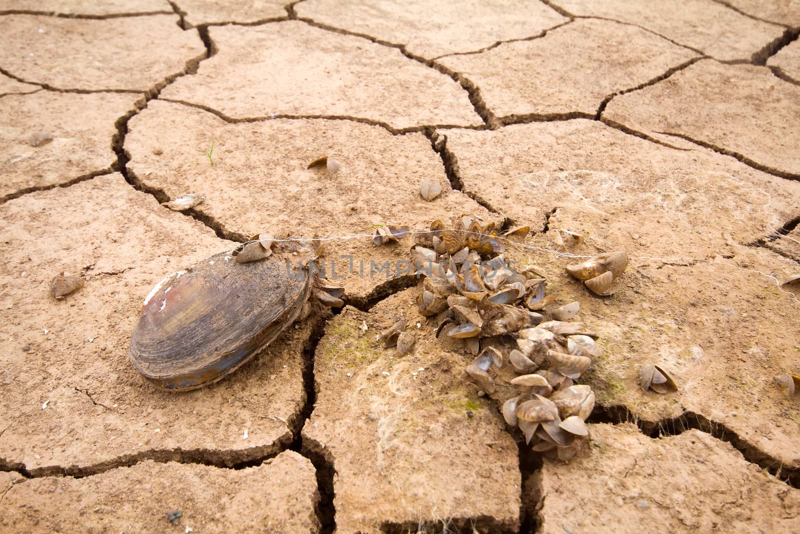 sea dried up and everything receded died