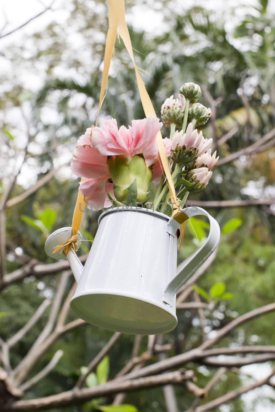 Hanging of flowers and watering can decorate in garden
