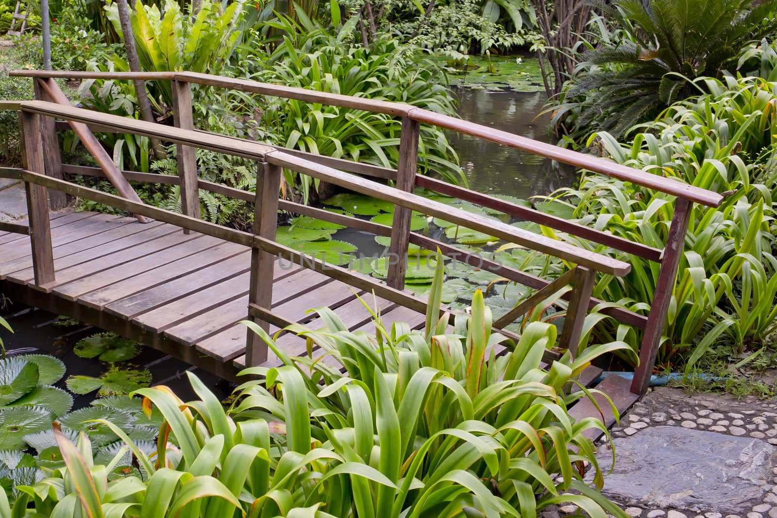 wooden bridge in a beautiful garden.