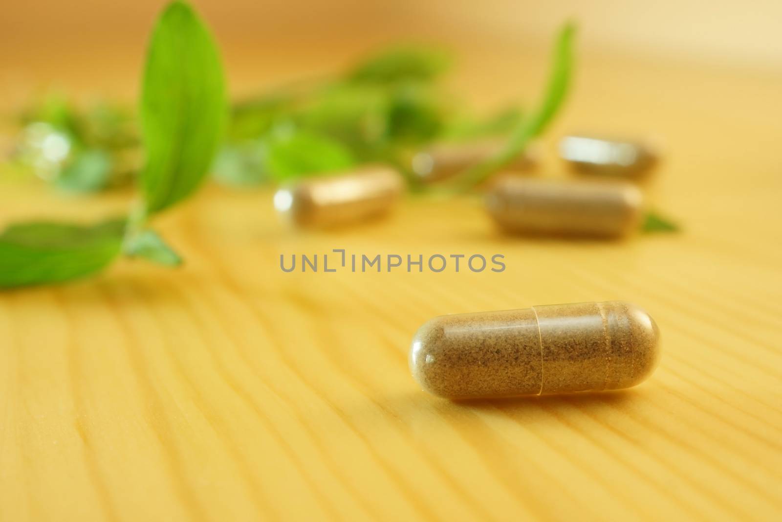 Herb capsule with green herbal leaf