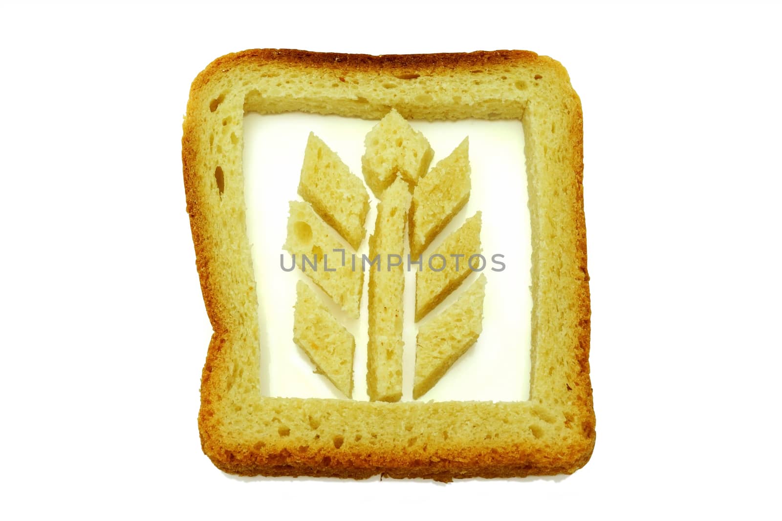 Gluten. Symbolic photo with wheat from bread slice on white background