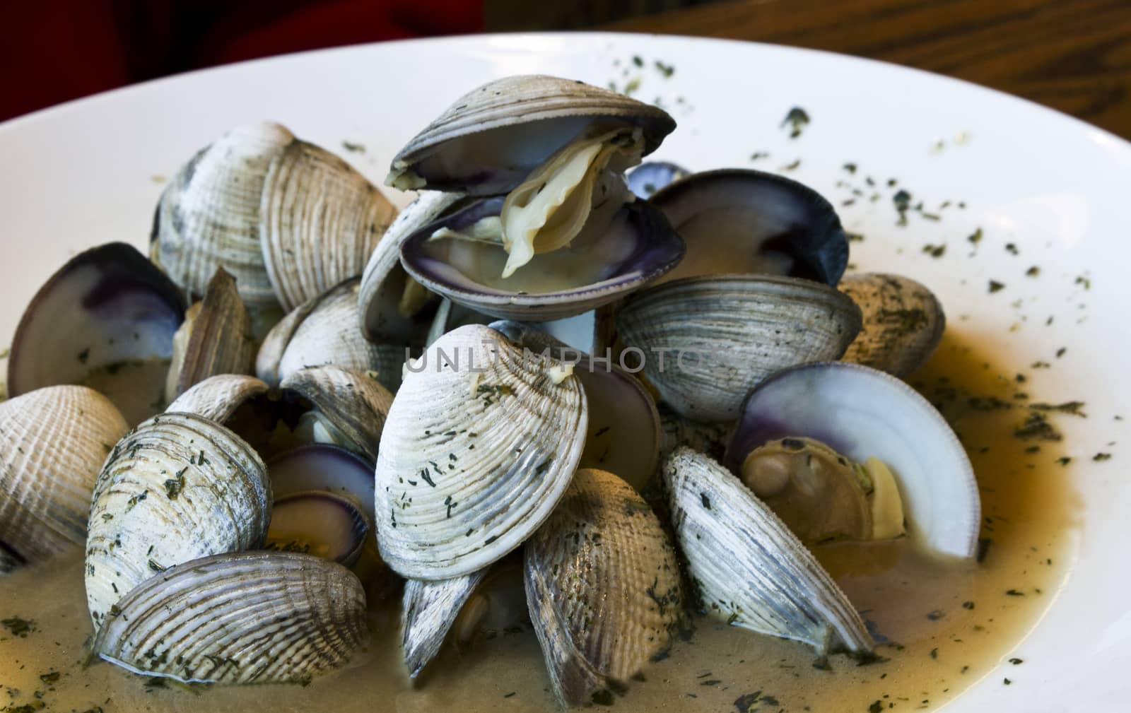 Fresh clams steamed in seasoned broth in white dish and served in Juneau, Alaska;