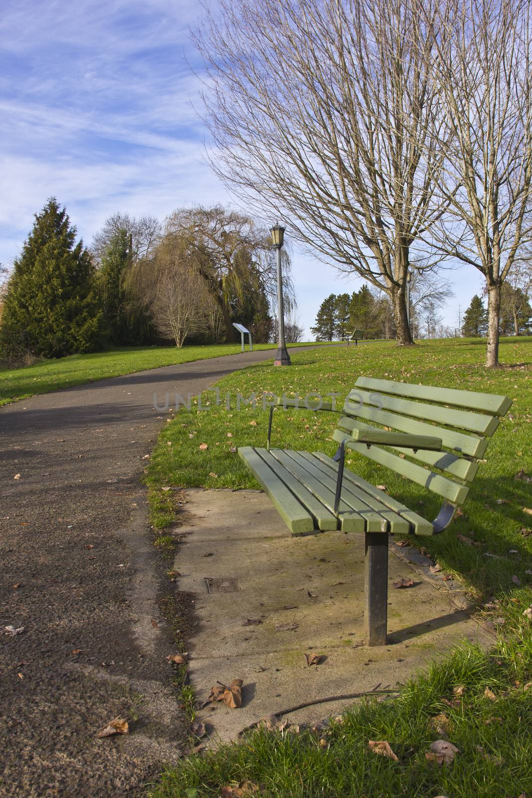 Park benches in a publec park. by Rigucci