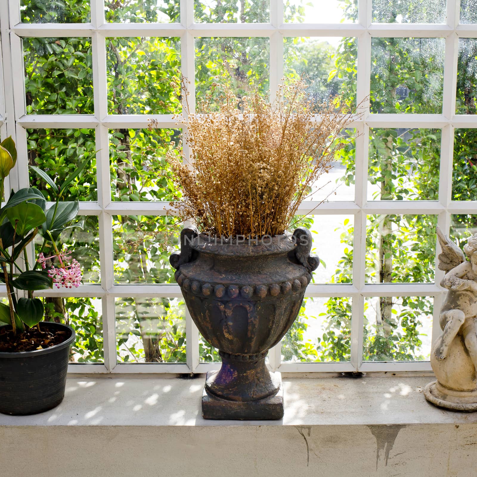 Vase and dry flowers decoration