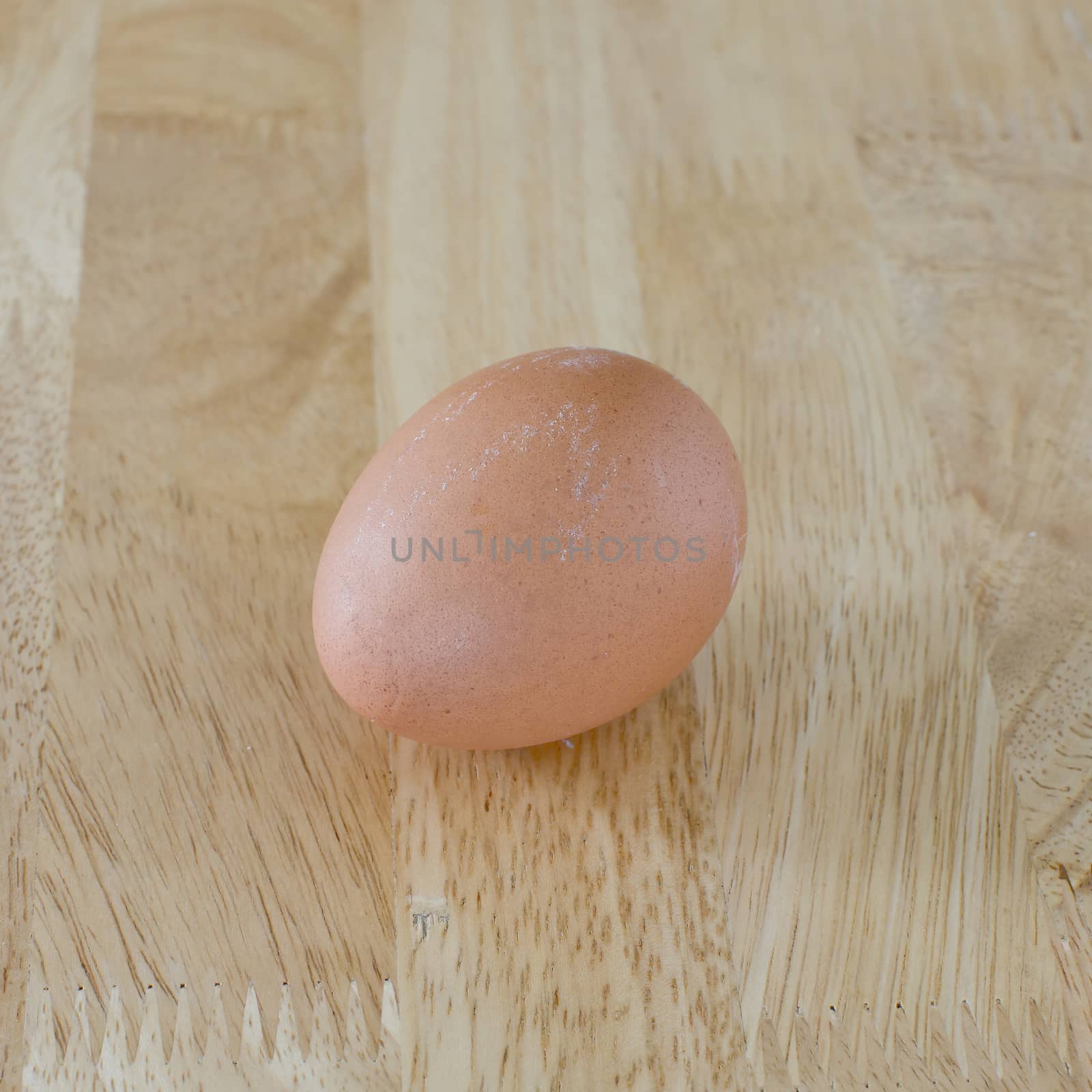 Fresh Egg on wood table