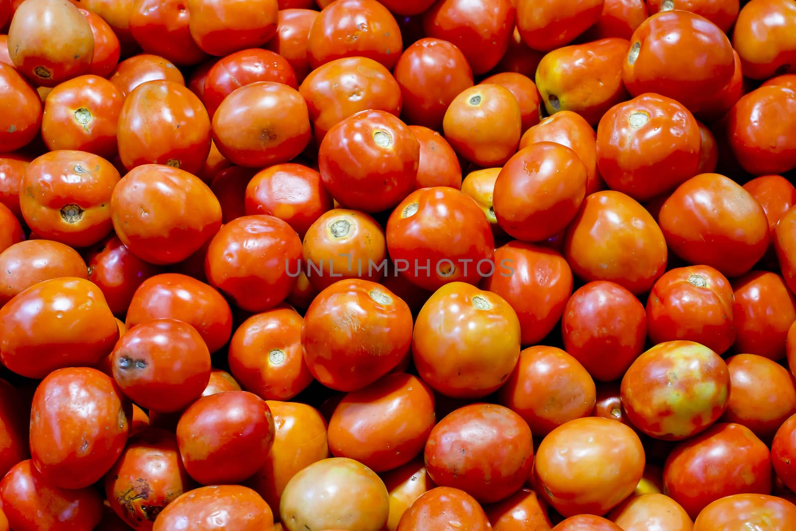 tomatoes background texture