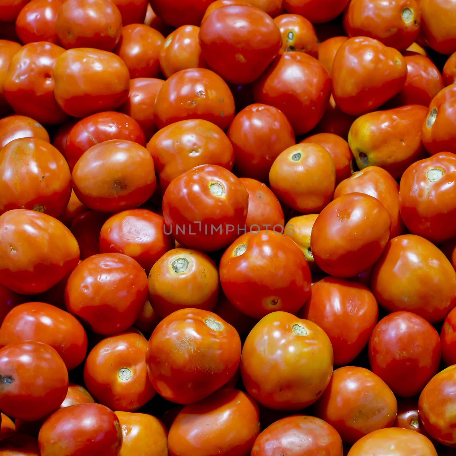 tomatoes background texture