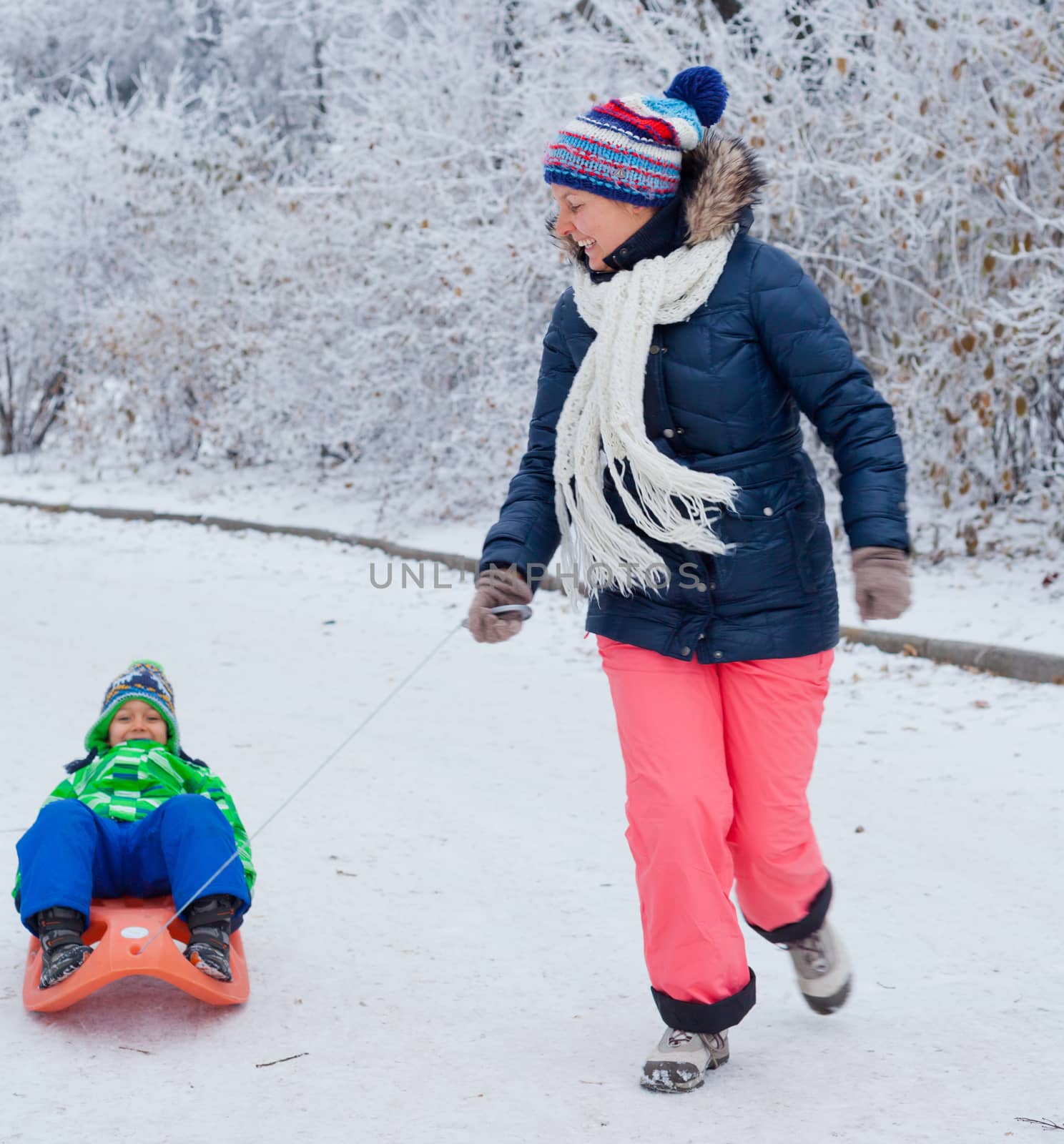 Family having fun with sled in winter park by maxoliki