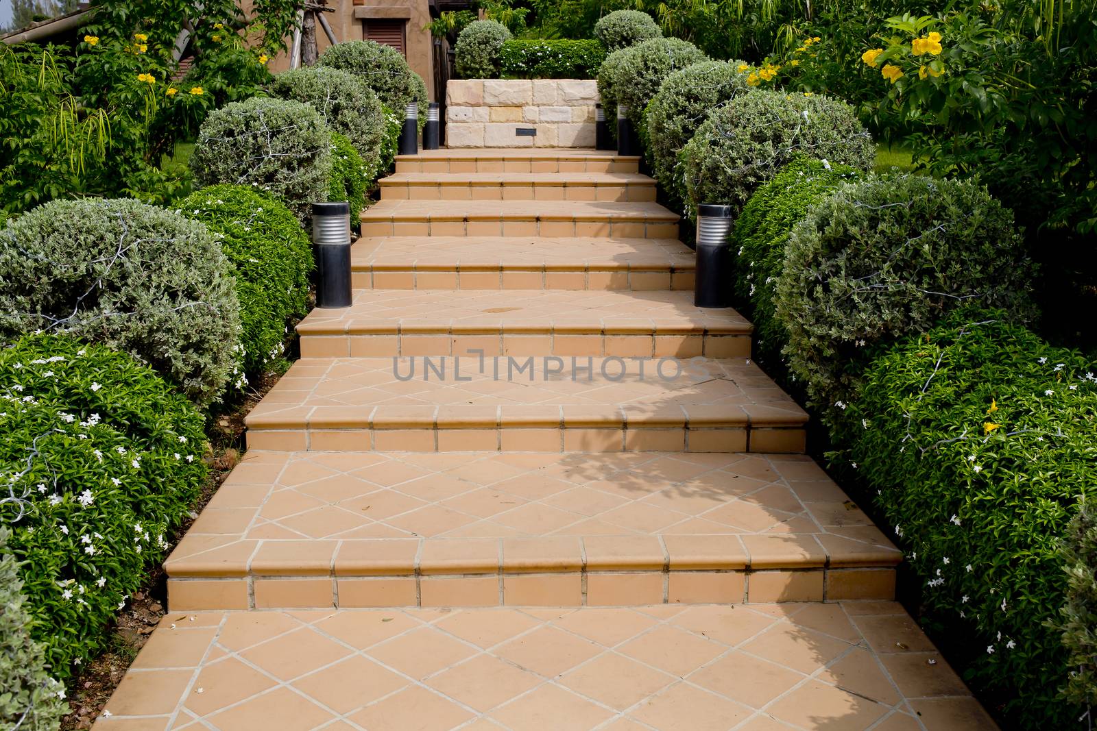 Orange Tiles Stair Steps Leading up to house with small trees.