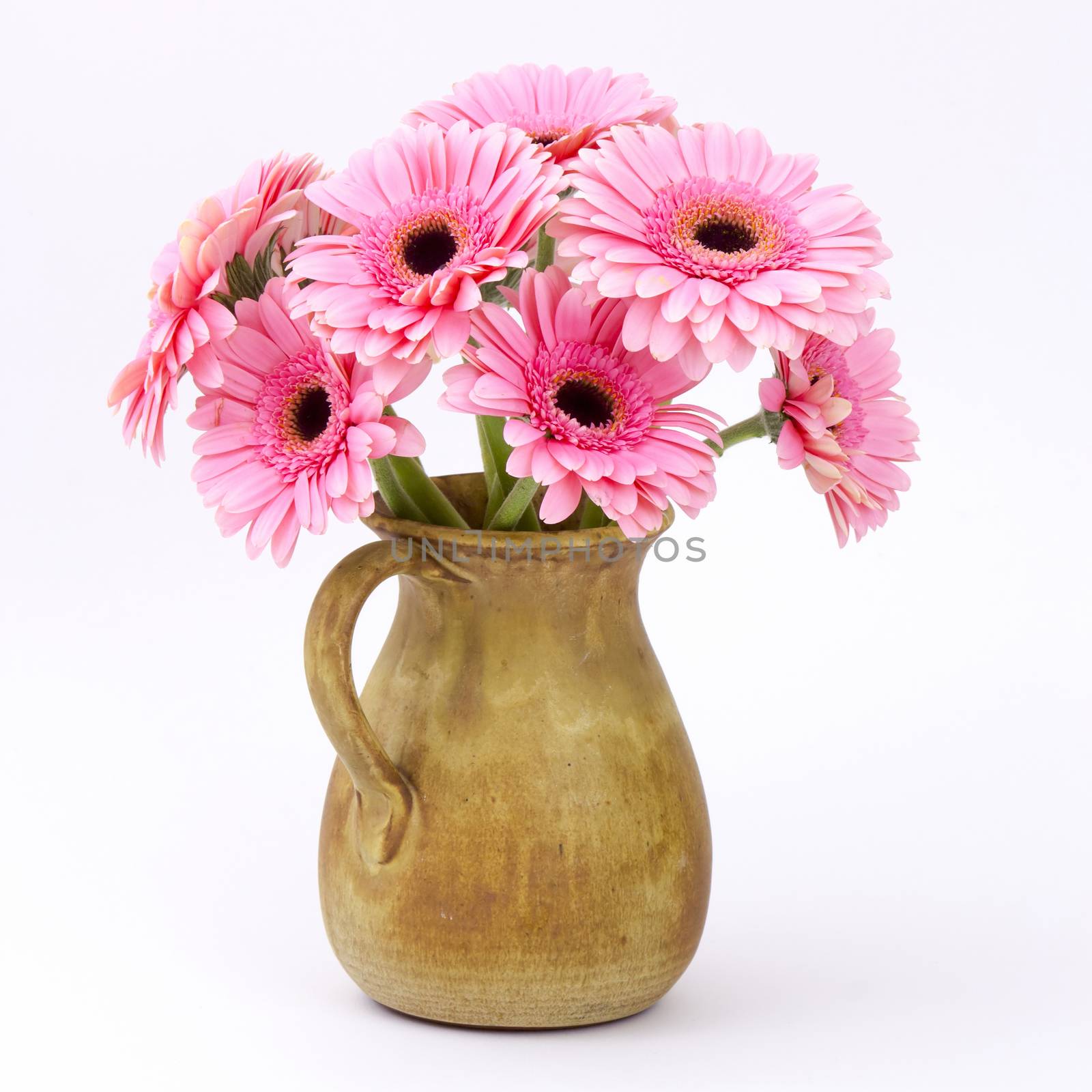 pink gerbera flowers in a vase by miradrozdowski