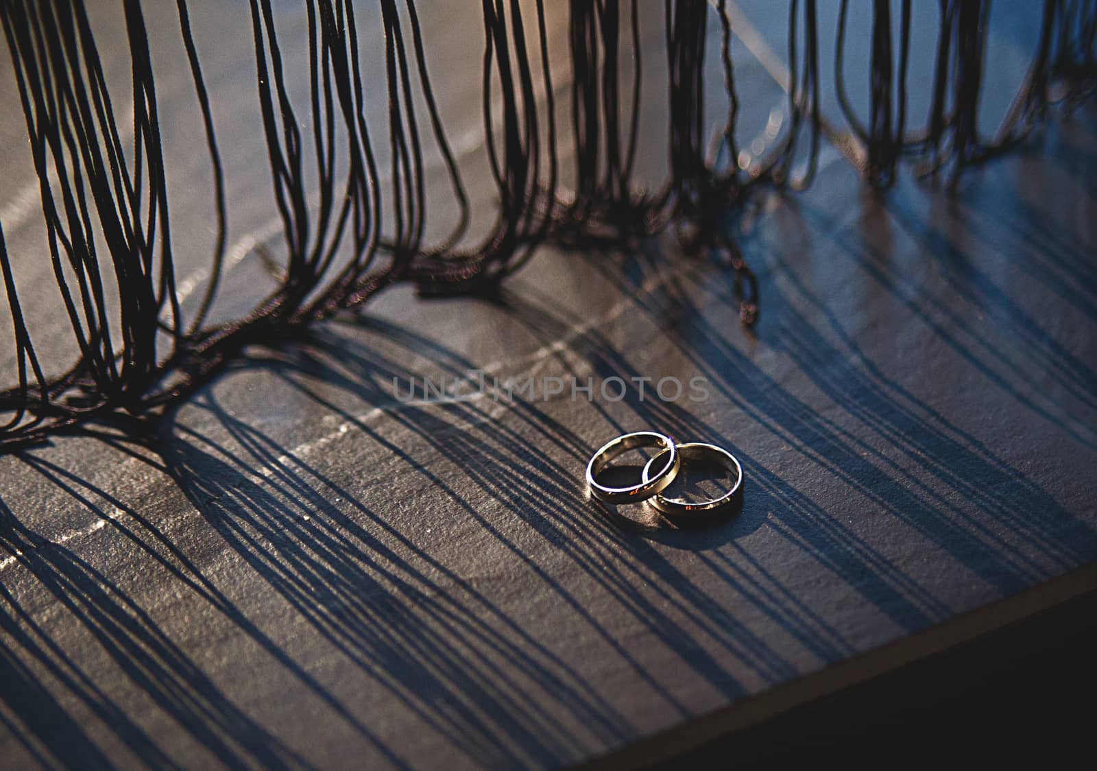 Wedding rings on a wooden board, with long shadows from tulle.