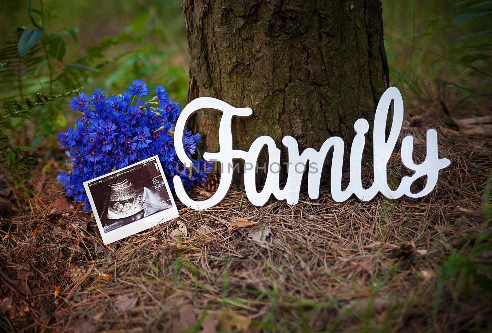 photo a child in the picture ultrasound near a tree, with a bouquet and a sign that says family.