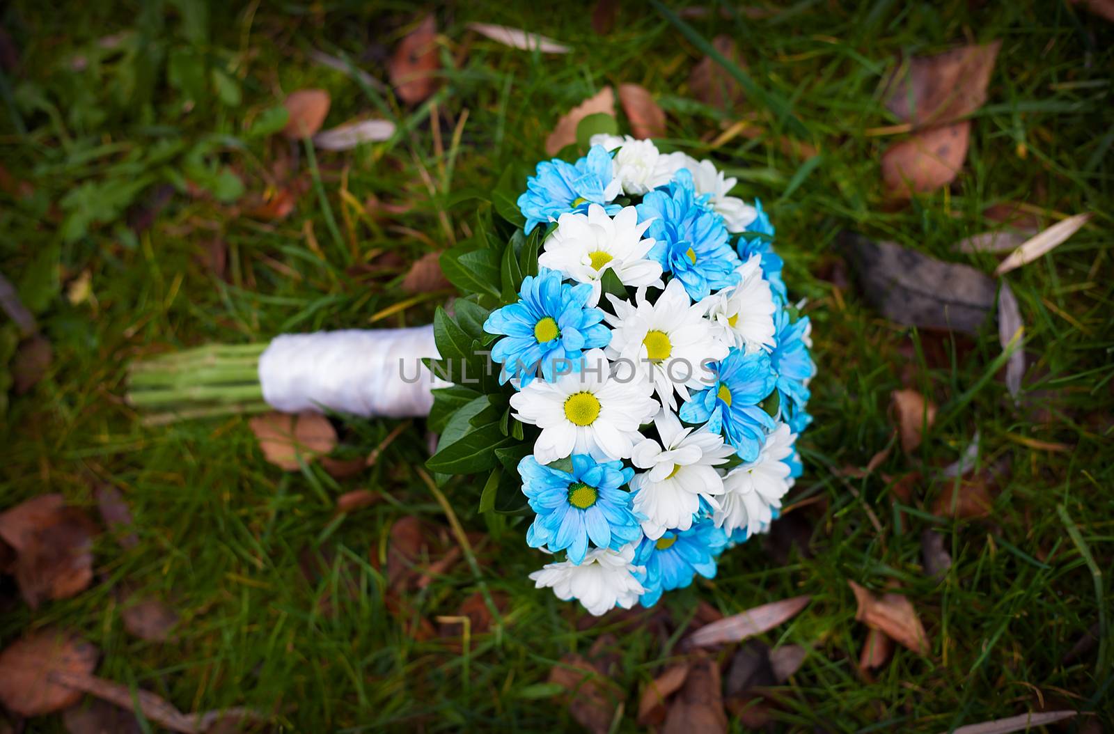 white and blue flowers. wedding bouquet by sfinks