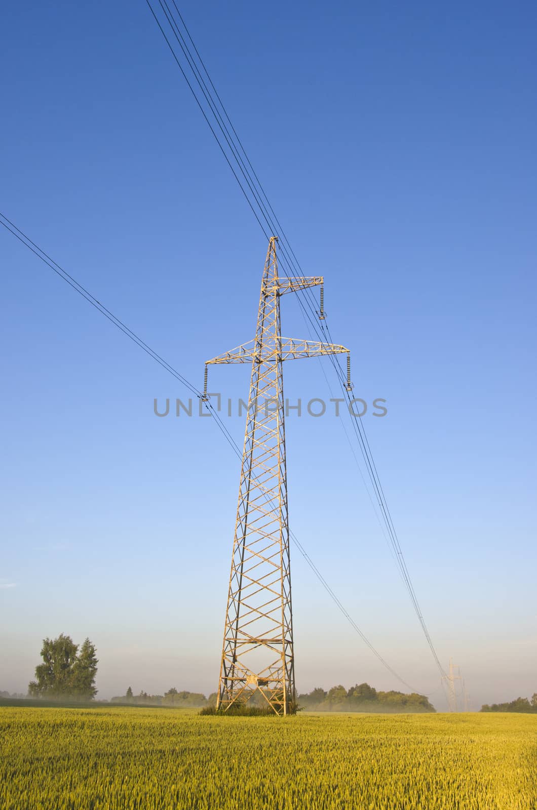 electricity high voltage metal pole  on summer farmland field by alis_photo