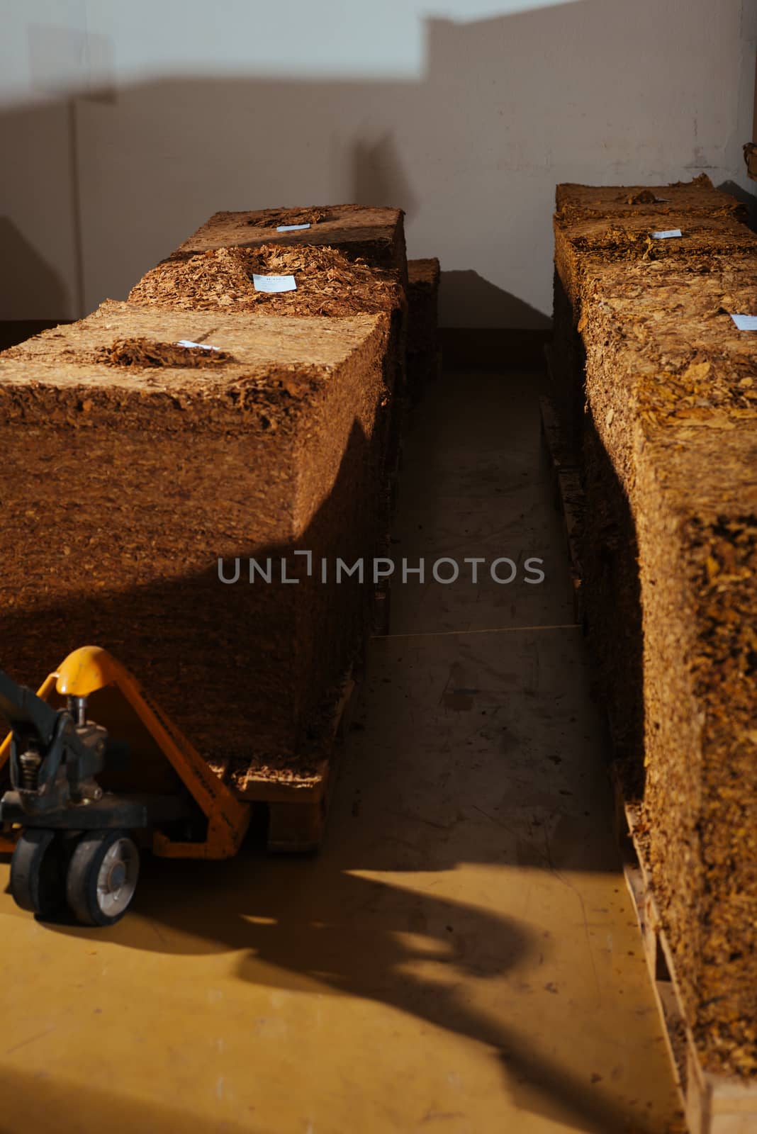 Tobacco in factory warehouse prepared for production of cigarettes