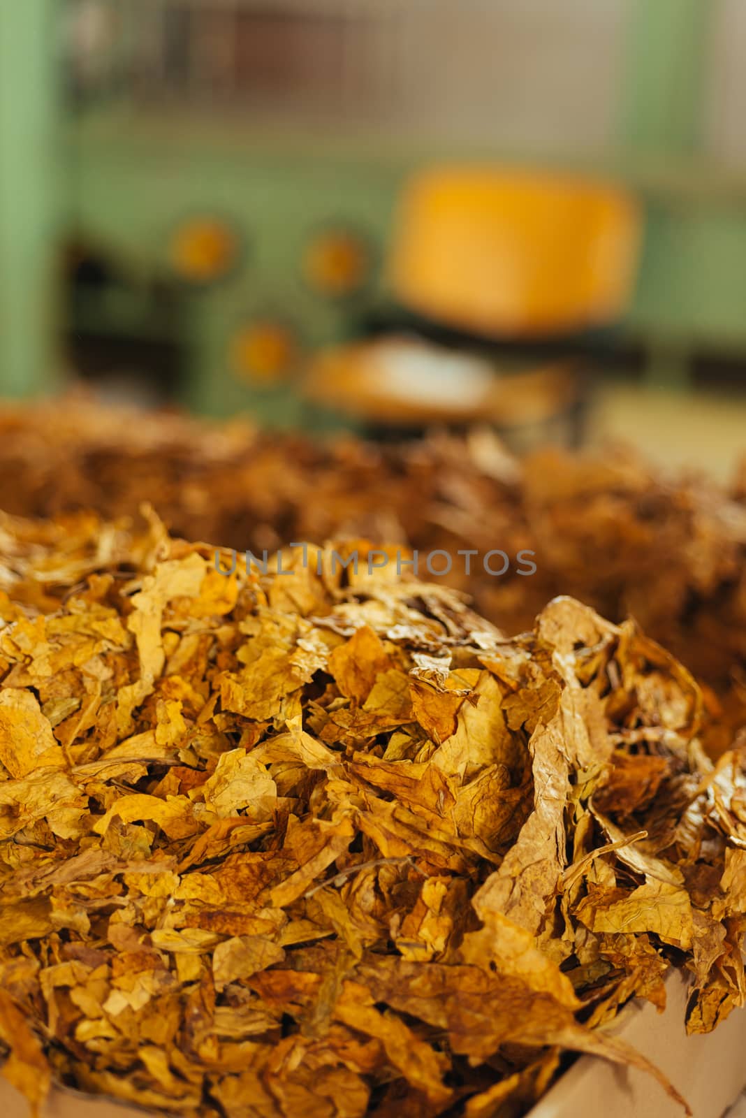 Tobacco prepared for production of cigarettes