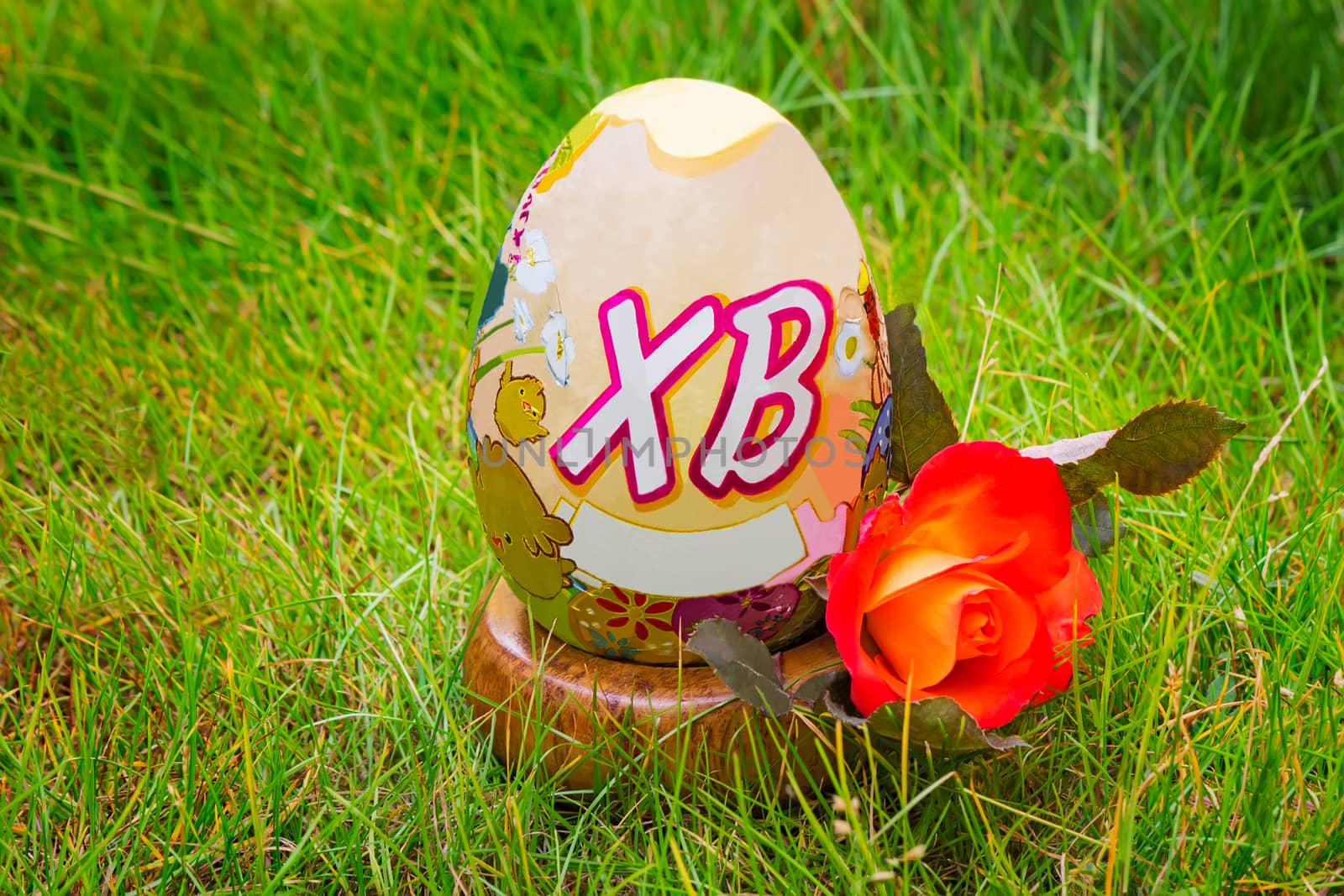 Easter egg and flower rose among the green grass. by georgina198