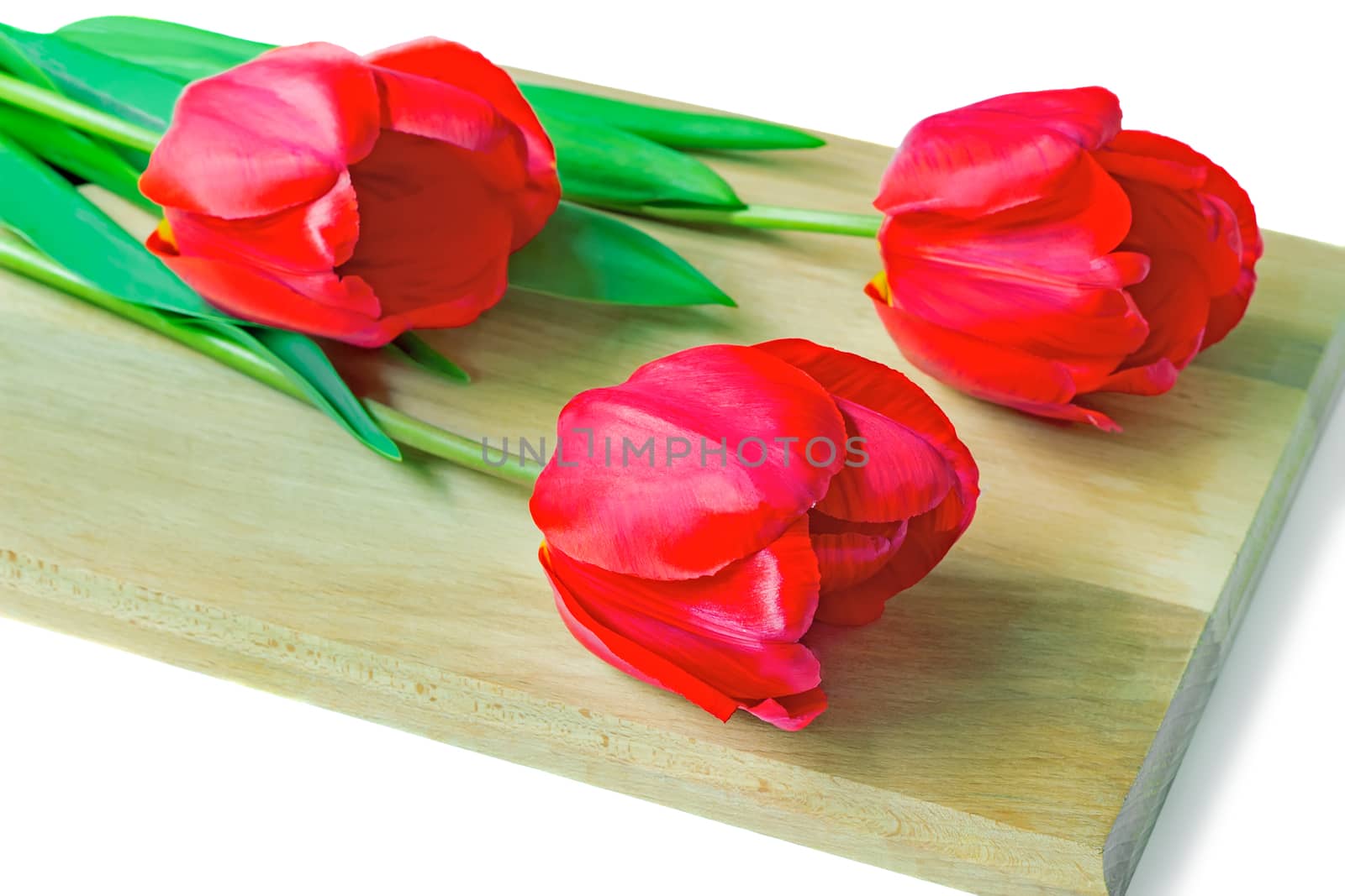 Three red tulips on a white background. by georgina198