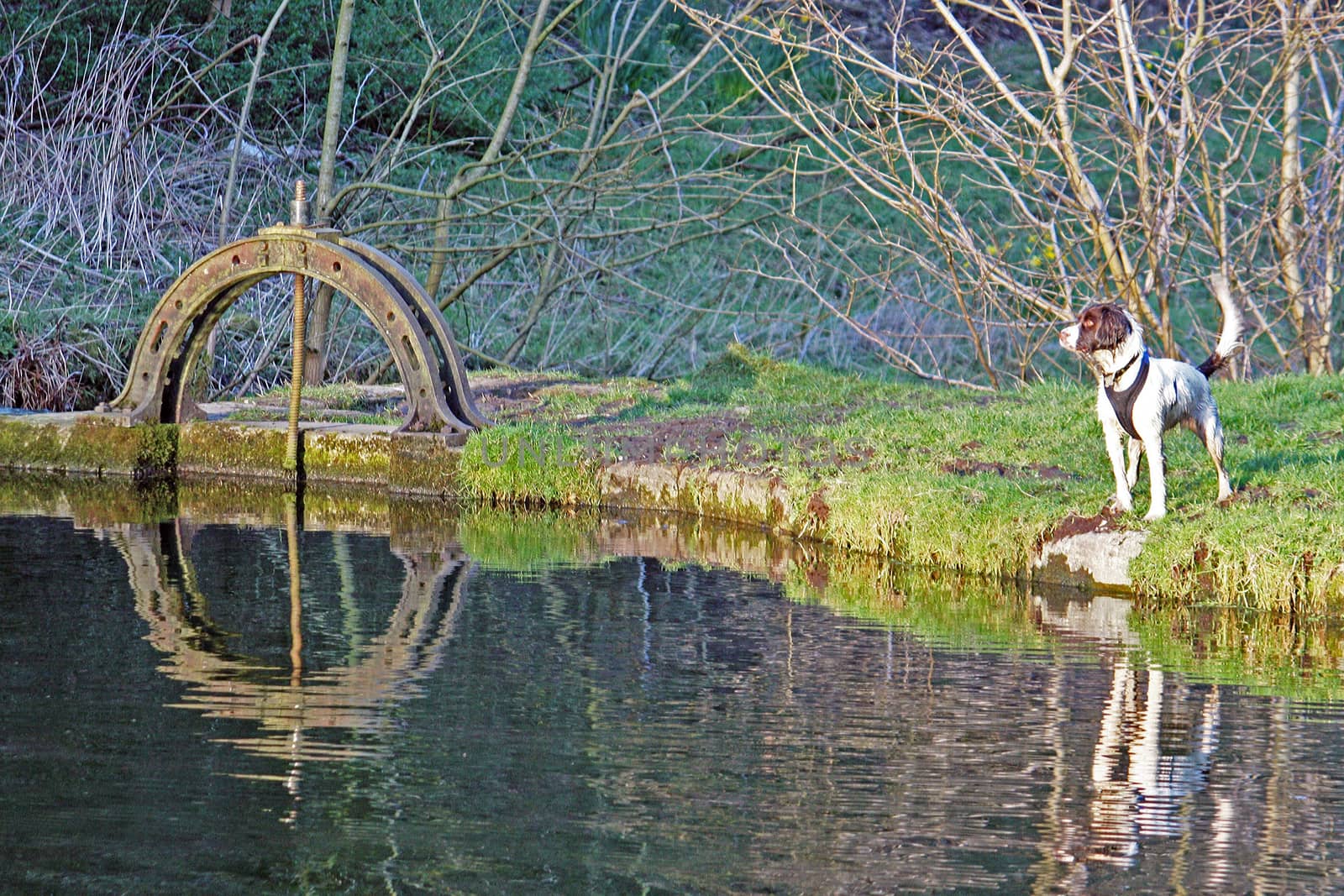 a flow restriction device on the river at Youlgreave