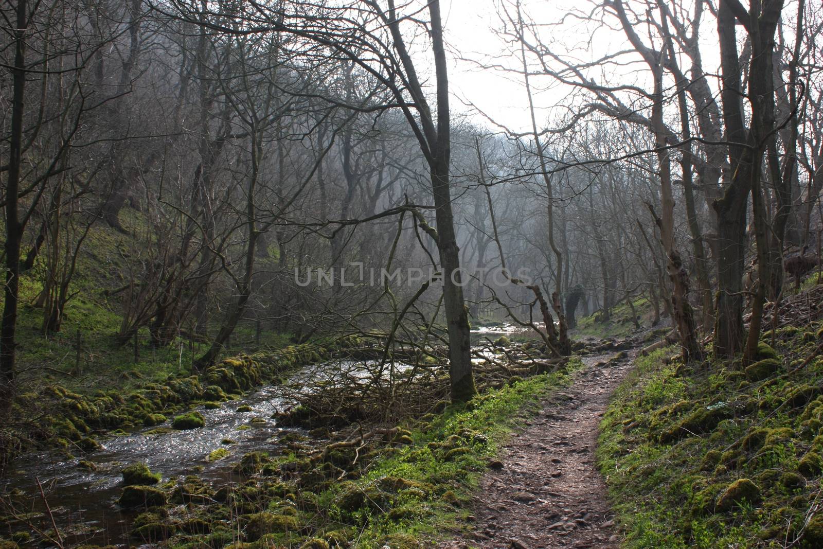 the river running through lathkill dale in the peak district nat by chrisga