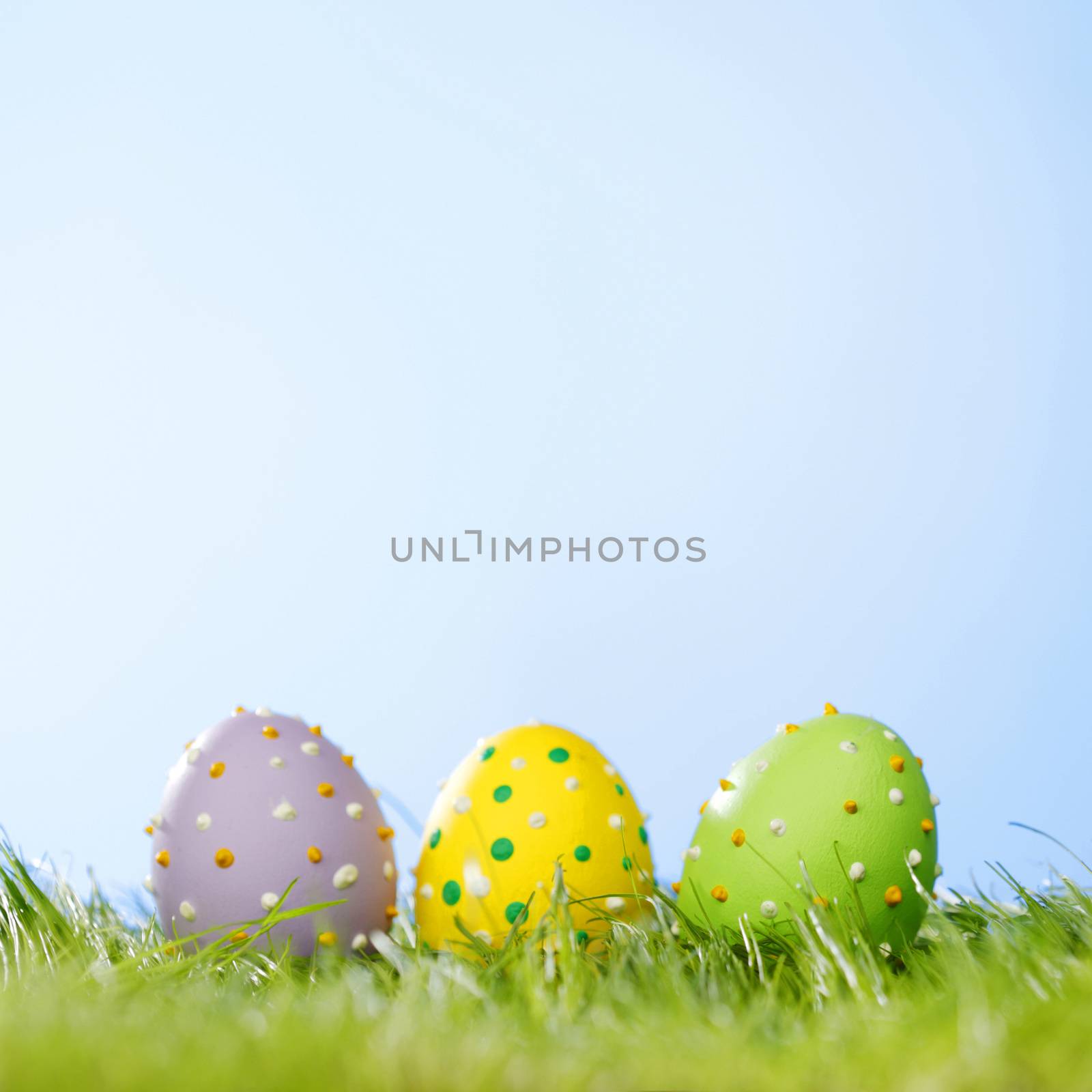 Colorful easter eggs in fresh spring green grass