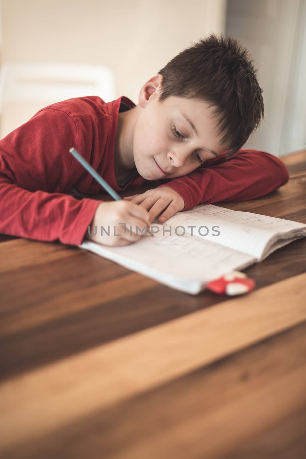 Boy with homework by gorgev