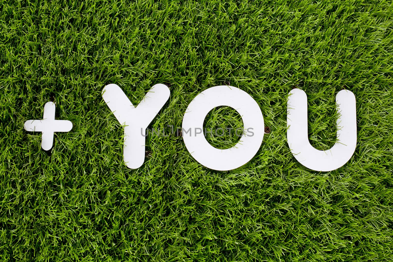 YOU text made of white wood vector design element on grass background.