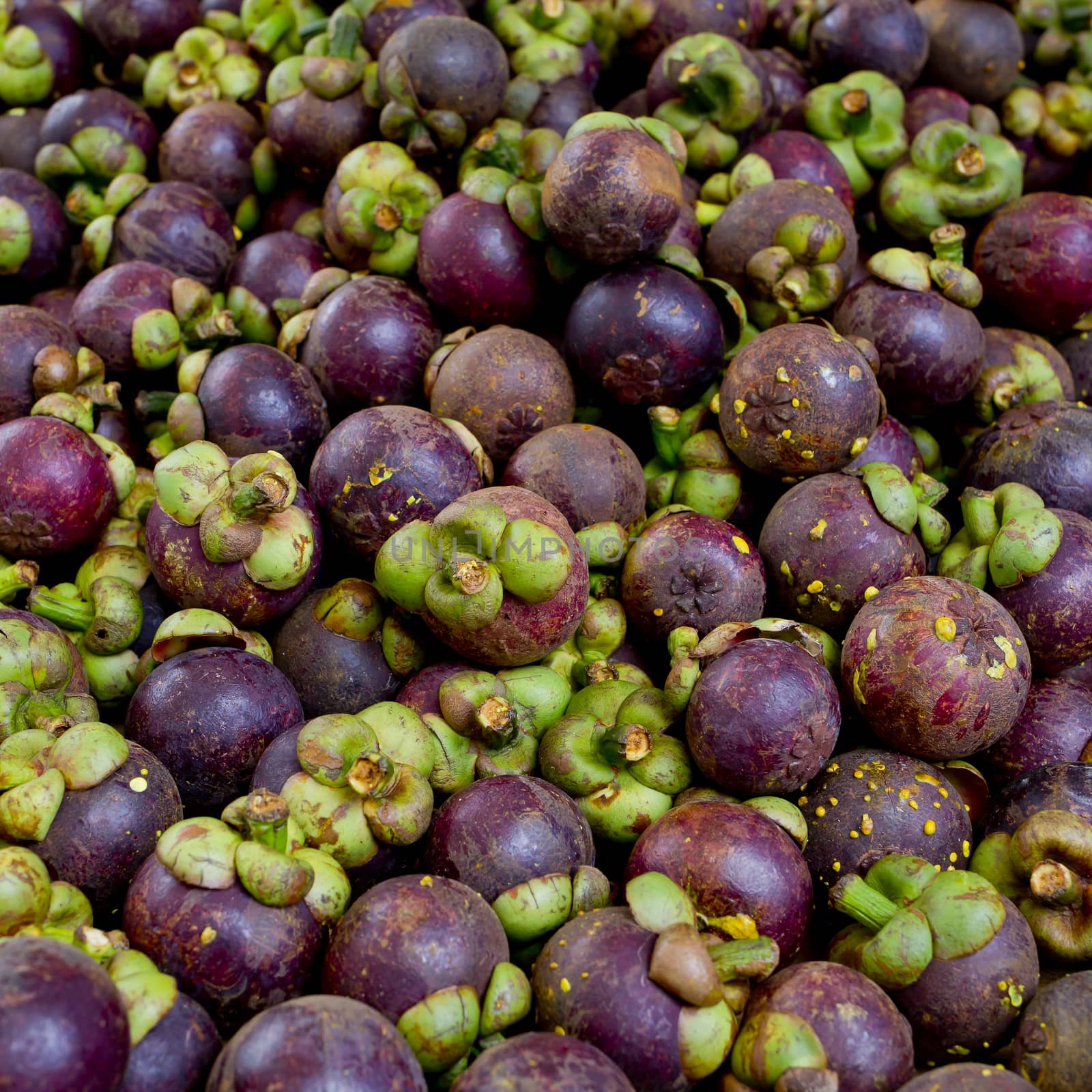 Mangosteen is a popular fruit in Thailand background texture