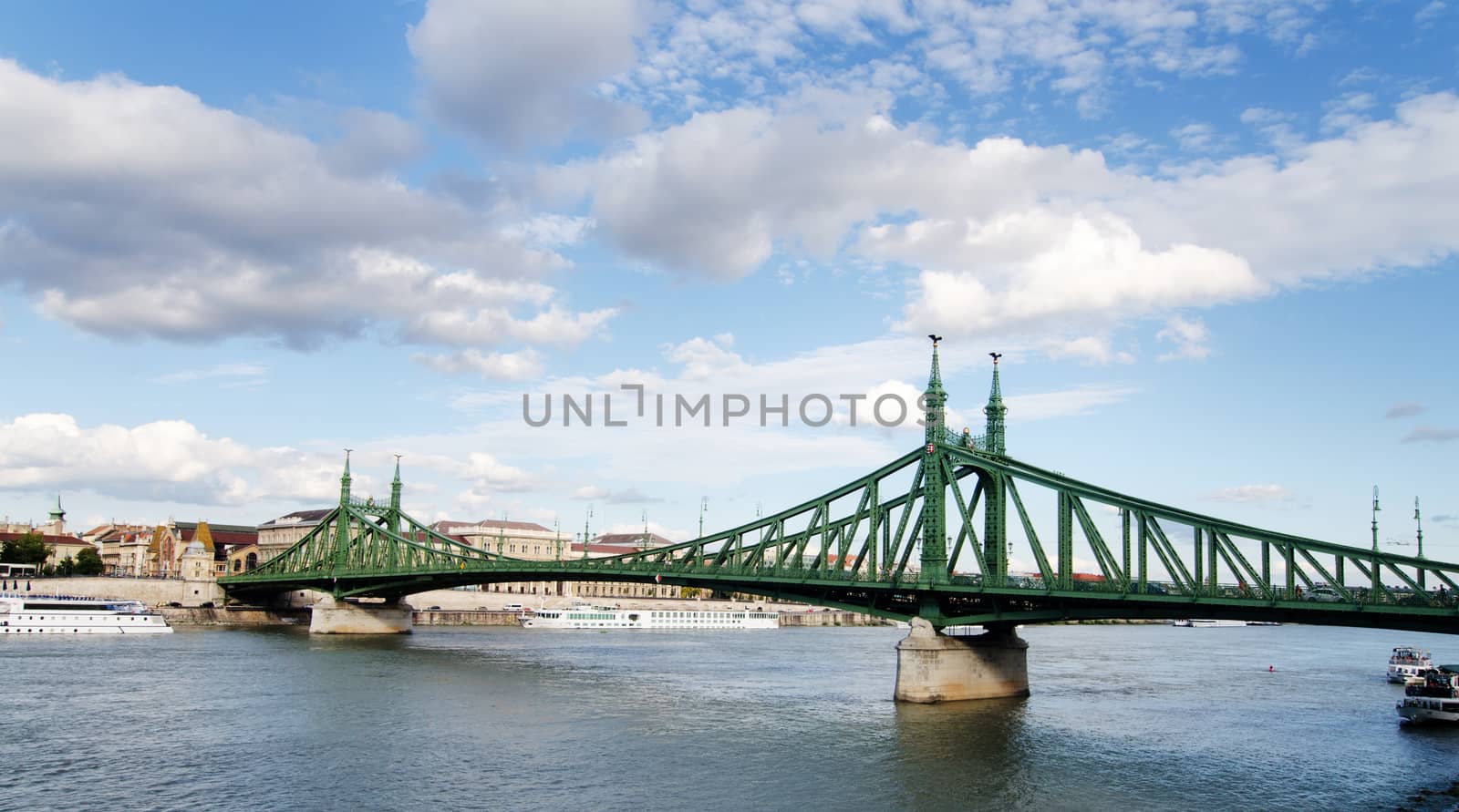 Szabadsag hid - Liberty bridge in Budapest, Hungary