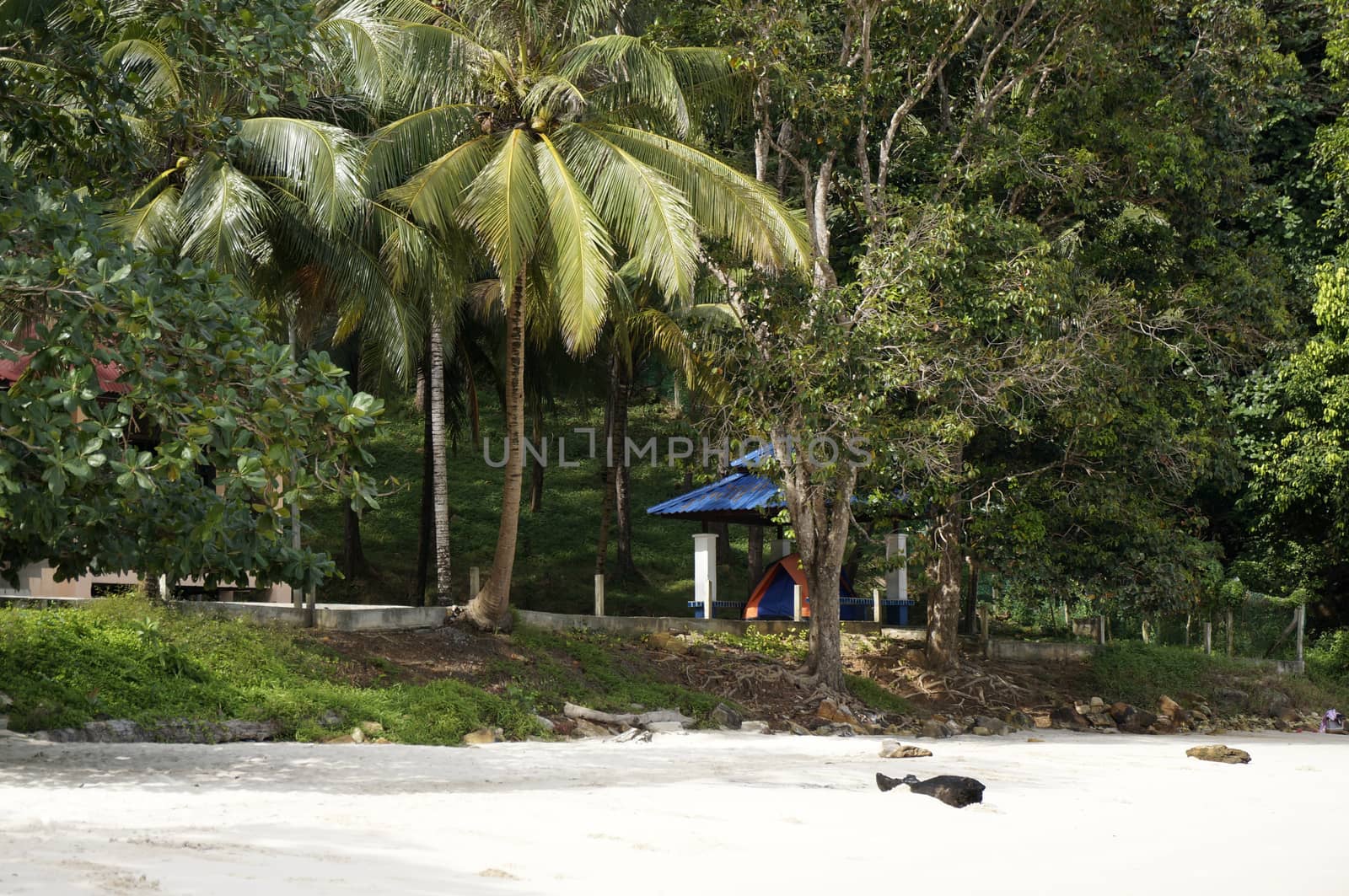 Beautiful beach with white sand, coast of Langkawi. by mcherevan