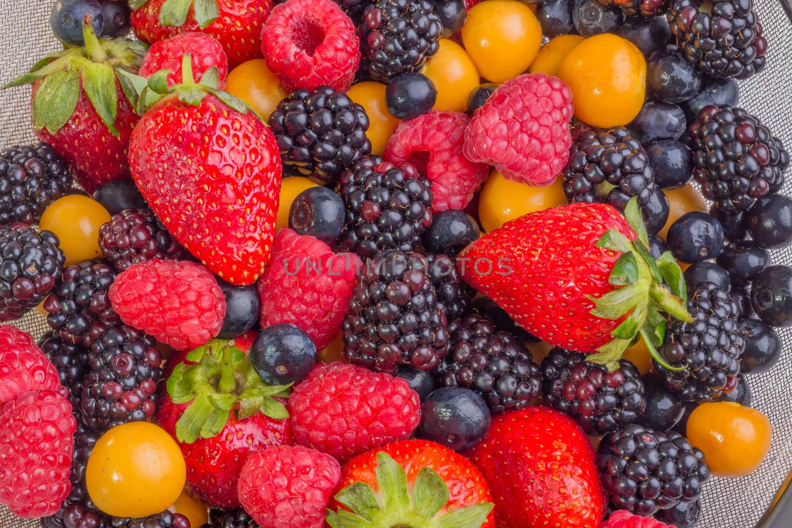 Mixed Berries Up Close by JFJacobsz