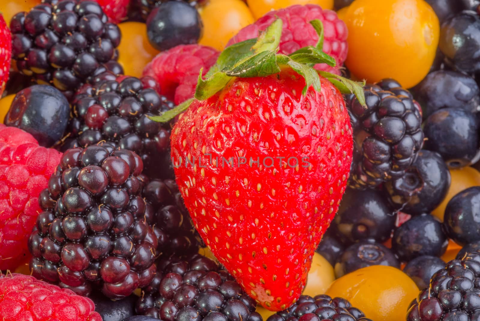 Up Close view of fresh berries of different types, all mixed together.