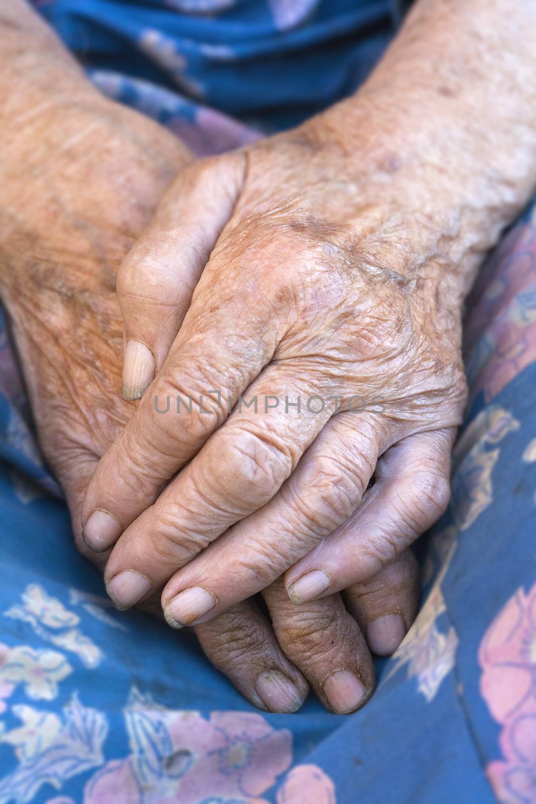 close-up of wrinkled hands of an old peasant woman from bohemia, czech republic