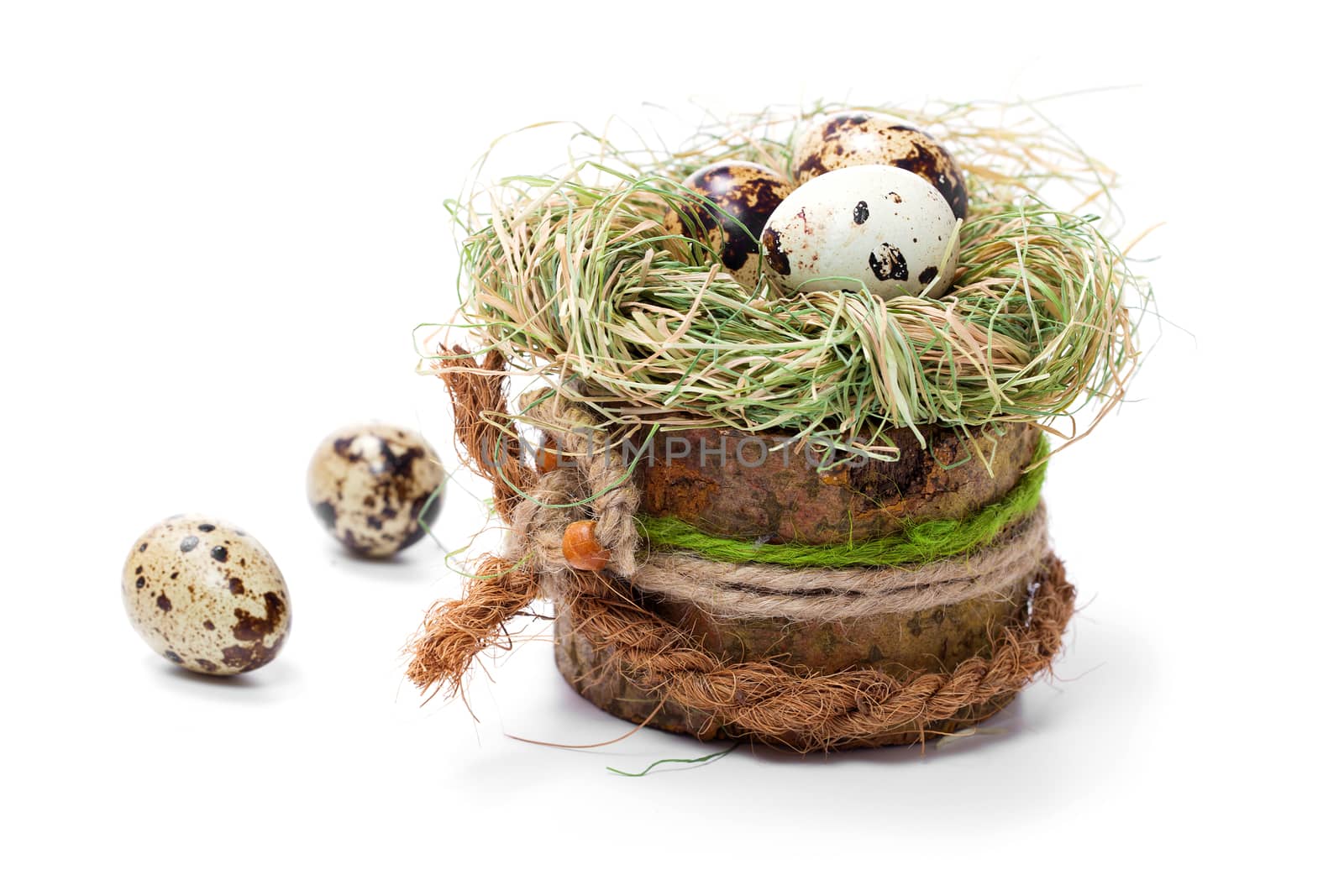 quail eggs in nest isolated on white by motorolka