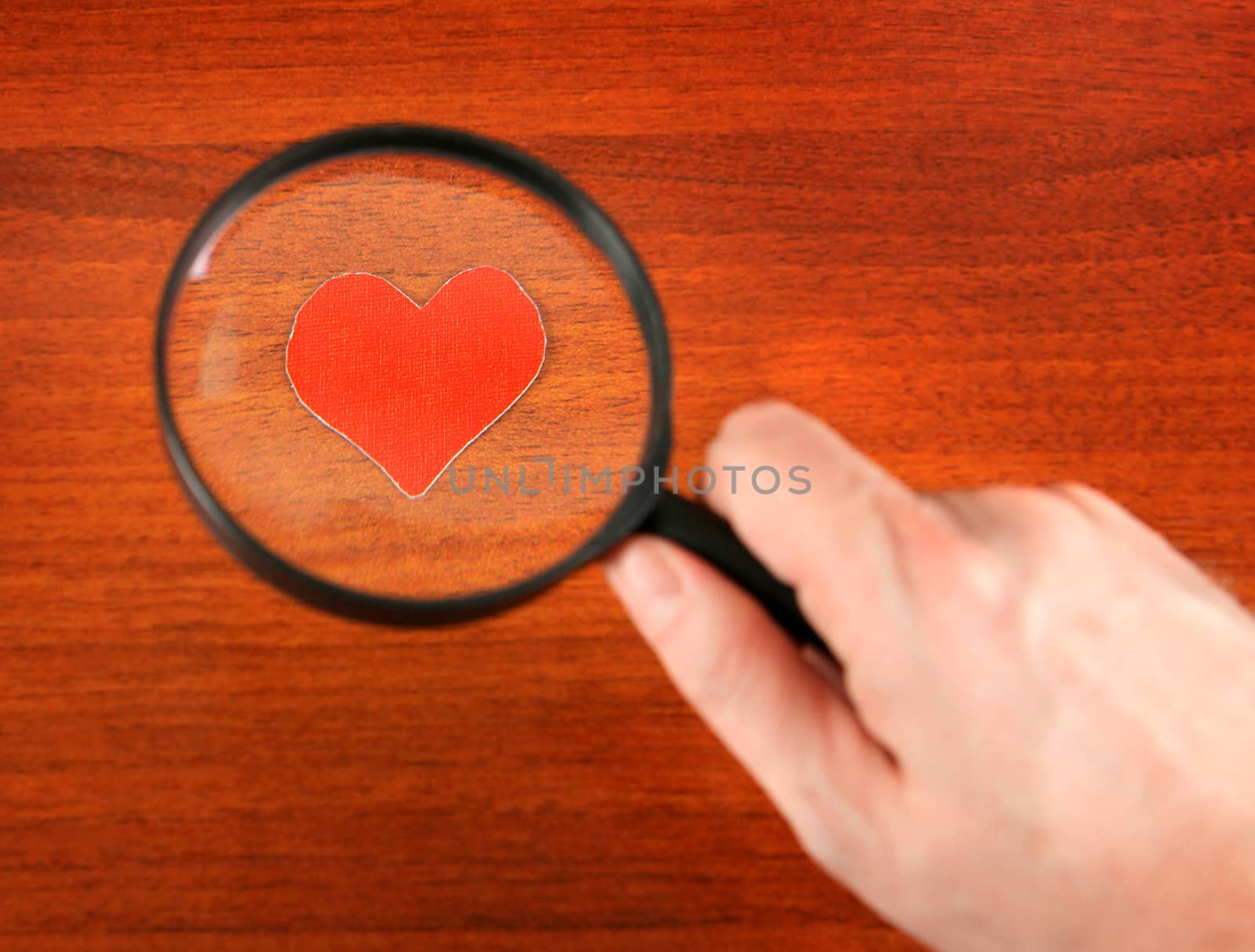Heart Shape in the Loupe on the Wooden Background