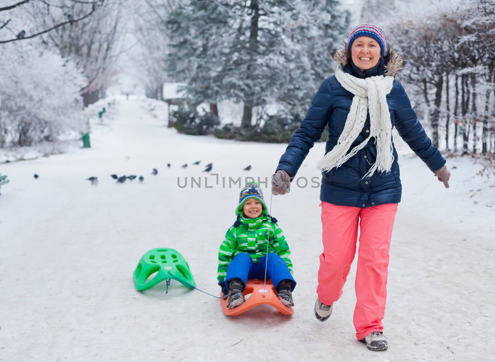 Family having fun with sled in winter park by maxoliki