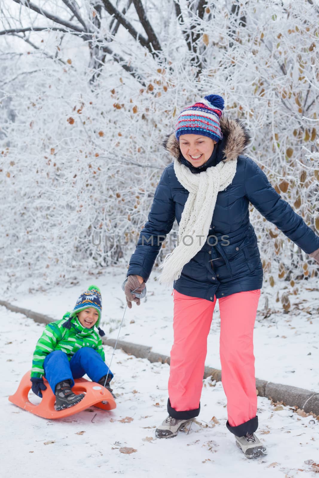 Family having fun with sled in winter park by maxoliki