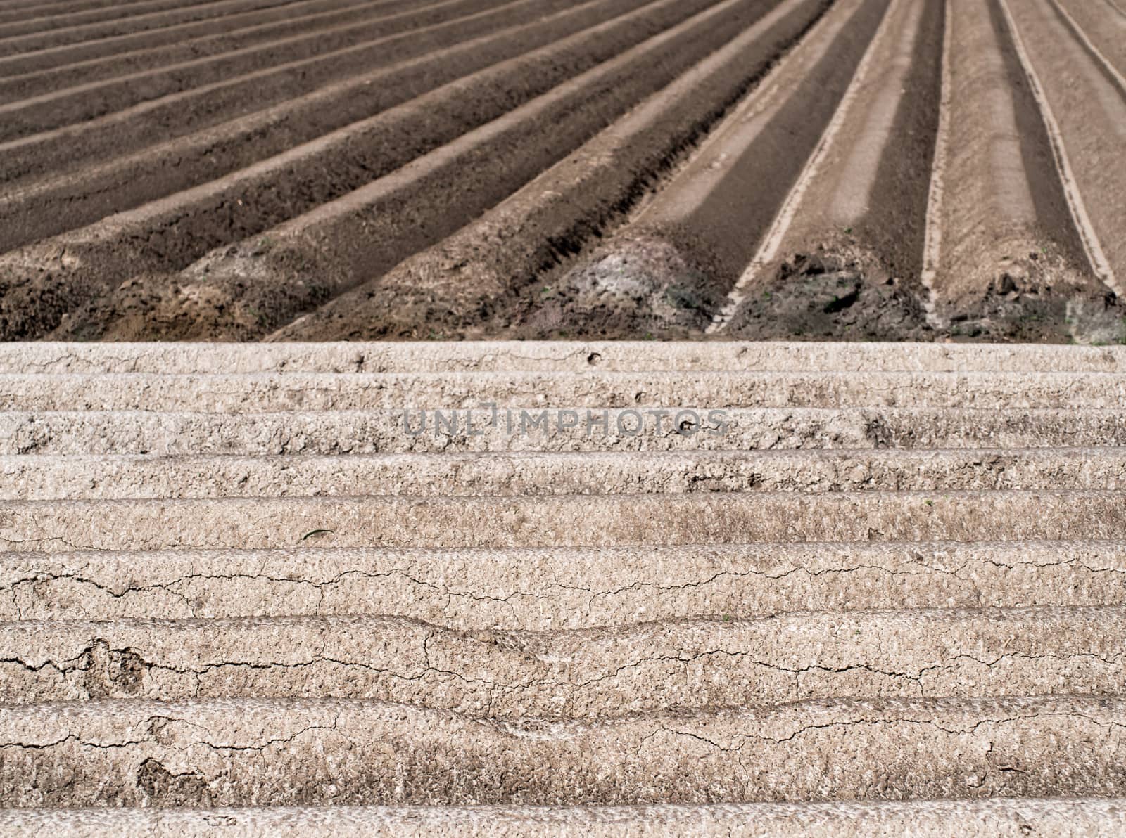 Structures of a potato field
